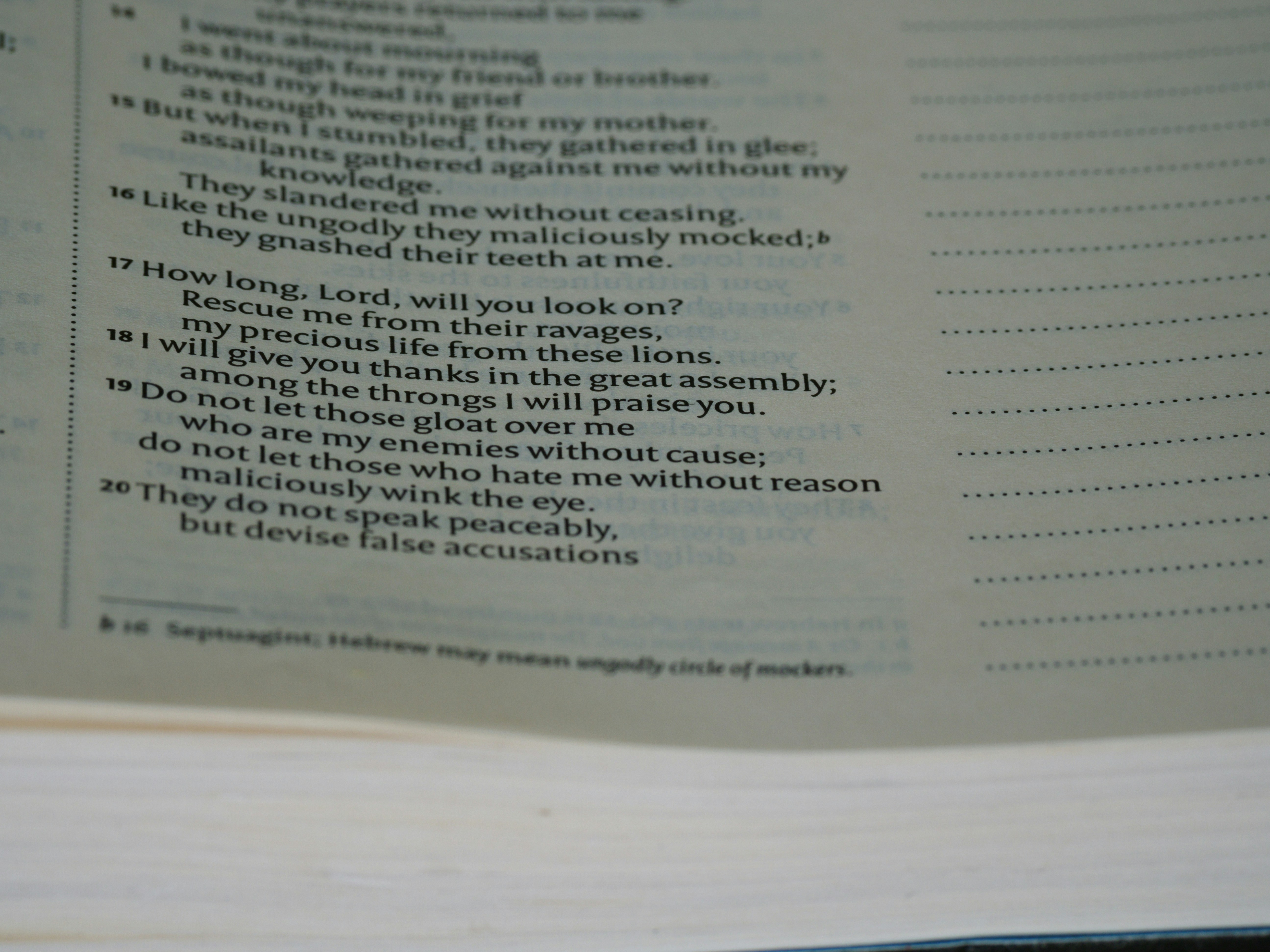 close up, bokeh, macro, blur, blurred background, close focus, bible, old testament, hebrew bible, christian, judaism, history, text, reading, bible study, devotions, text, NIV, New International Version, type, typography, canon, christianity, holy scripture, holy bible, scripture, old testament, hebrew bible, תְּהִלִּים, psalms, psalter, ketuvim, writings, tanakh, king david,